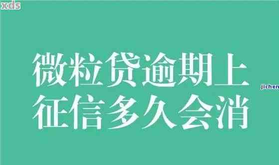 微粒贷逾期还款困境：解决方案和建议，如何避免影响个人信用？