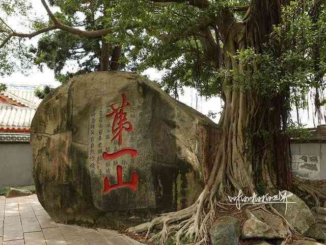 藏剑山上古遗迹普洱茶