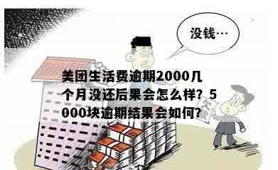 美团生活费逾期5000元：可能的后果与处理方法详细解读