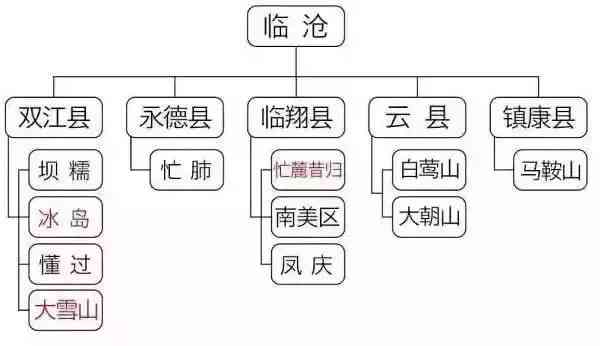 年份与品质：探究普洱茶哪一年的口感更出众