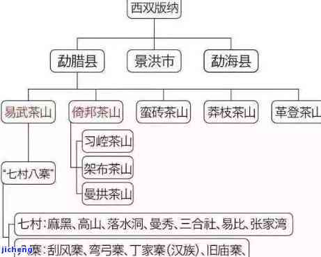 易武普洱茶各山头品质对比：揭秘哪些山头的茶叶最为上品？