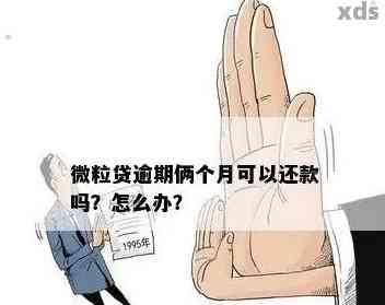 逾期3天的微粒贷，     无法按时还款，如何解决？