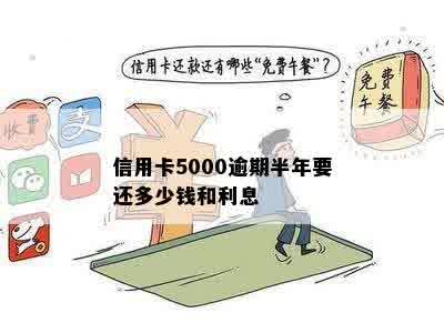 信用卡5000逾期6年要还多少钱利息