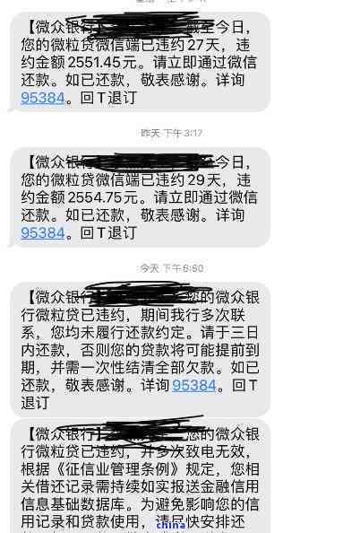 微粒贷逾期信息格式