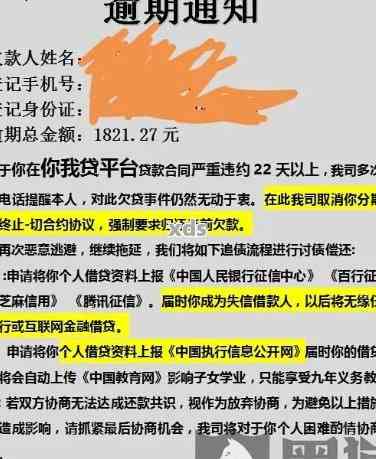 微粒贷逾期信息格式