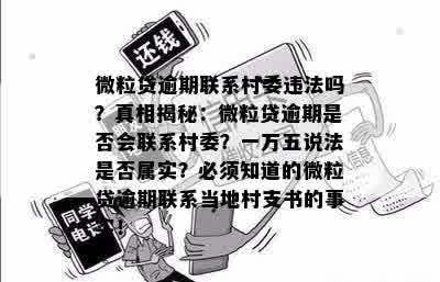 微粒贷逾期问题：如何联系当地村支书以寻求解决方案？