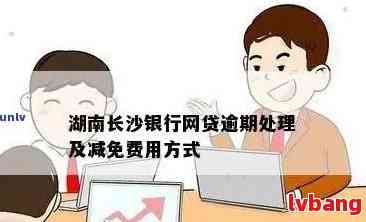 长沙快乐秒贷逾期处理策略与影响分析