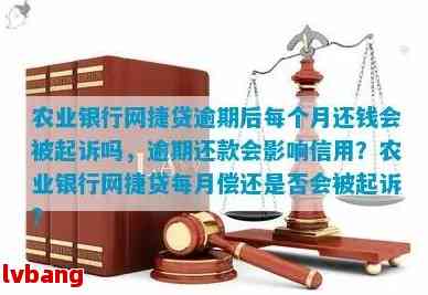 农行网捷贷逾期后协商还款期的可能性及相关申请流程