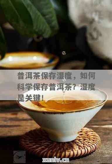 普洱茶存的适宜湿度：如何保持正确的存放度和水分？