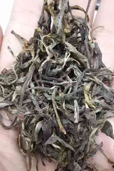 新工艺普洱茶的特点是什么？