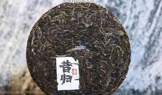 昔归普洱茶的传奇故事及其独特风味探析