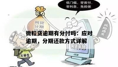 微粒贷分期逾期后，还款方式及清偿要求全面解析