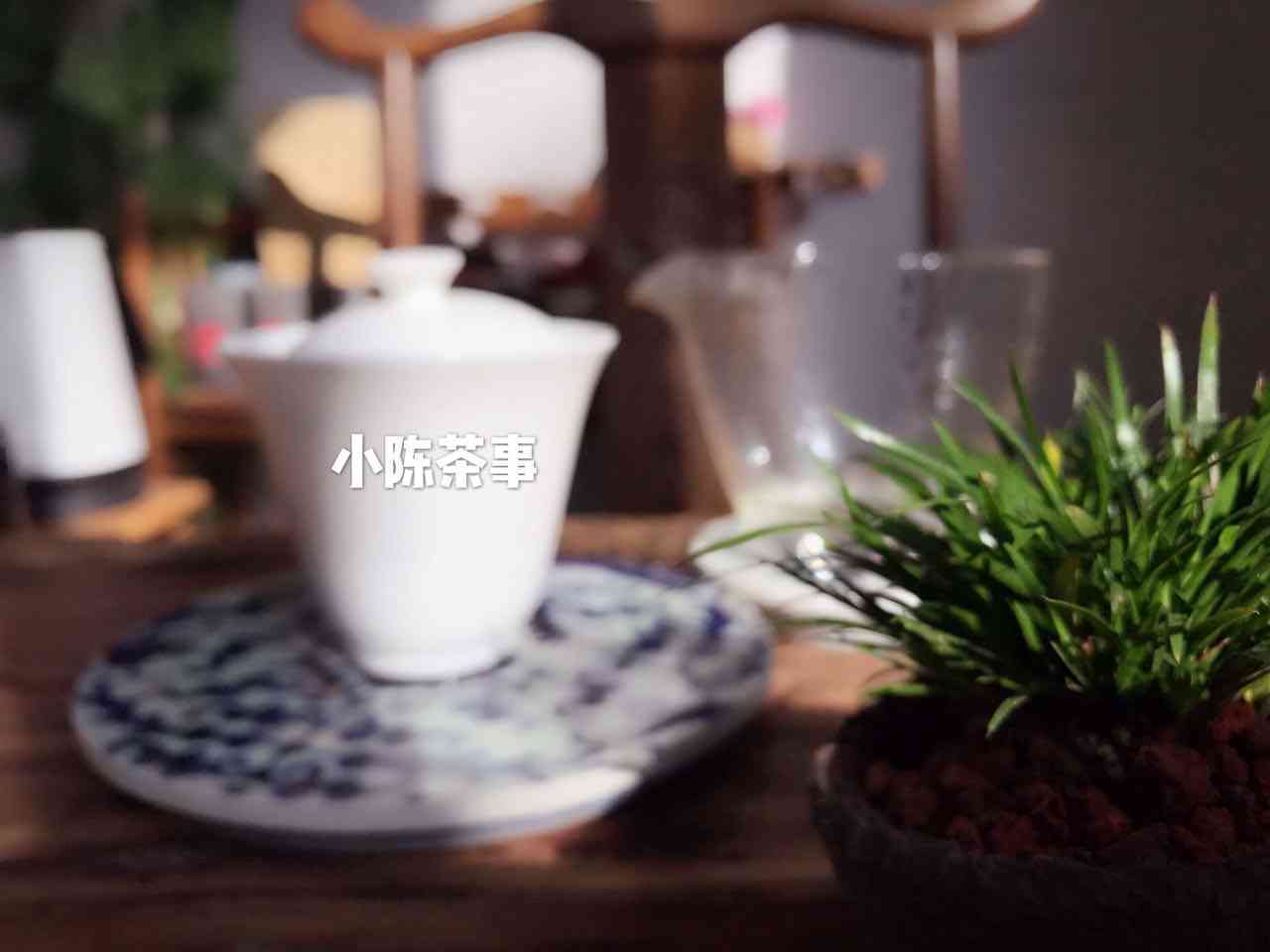 开普洱茶冲泡全面指南：方法、时间、水质和口感的完美搭配