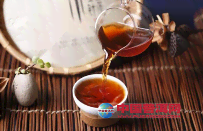 熟普洱茶怎么冲泡-熟普洱茶怎么冲泡