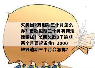 美团欠钱逾期3个月