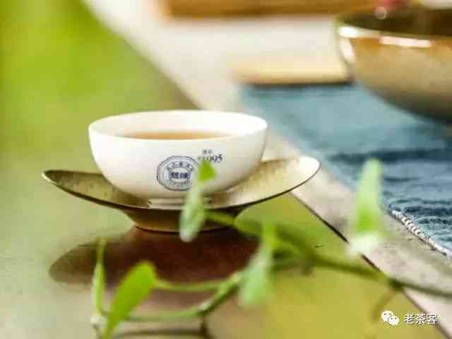 如何泡熟普洱茶叶水，使其更好喝