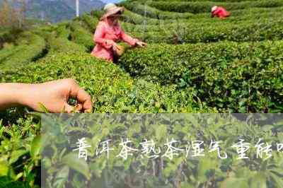 普洱茶熟茶取湿气吗能喝吗