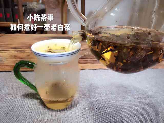 普洱茶适合闷泡么还是煮泡