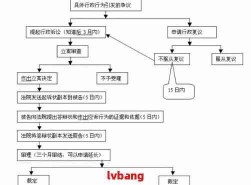 行政诉讼逾期提交证据处理：规定与应对策略