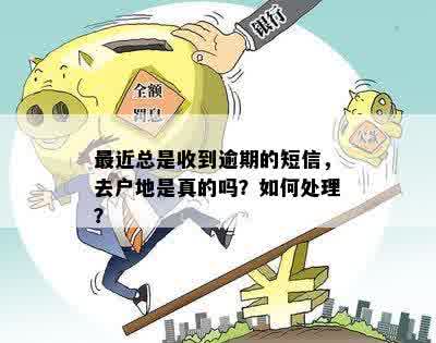 新【逾期还款】借呗五天后将资料寄至户地进行处理，如何应对？