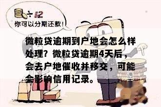 新【逾期还款】借呗五天后将资料寄至户地进行处理，如何应对？