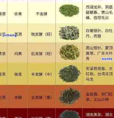 普洱茶所有的品种名称大全