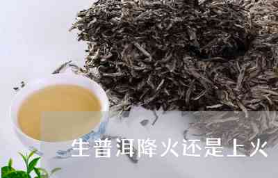 普洱茶的健争议：是上火还是降火？医生分享专业见解