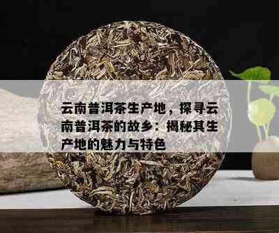 云南普洱茶：一种独特的产地风味