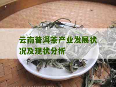 云南普洱茶产业繁荣的原因及其对全球茶叶市场的影响