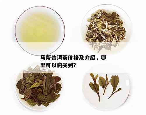 大马最贵的普洱茶是哪种茶？大马仓普洱茶和大马帮普洱茶价格如何？