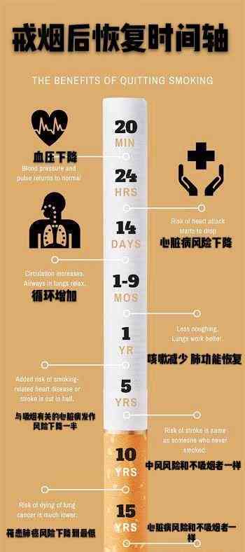 普洱茶对戒烟者的多重益处：科学解析与实际效果全面解析