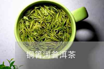 铜箐河普洱茶批发联系方式