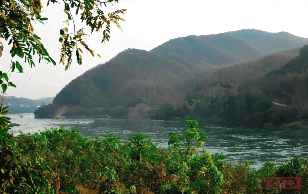 普洱茶优质产区：云南临沧澜沧江地区的布朗山与勐海县茶园