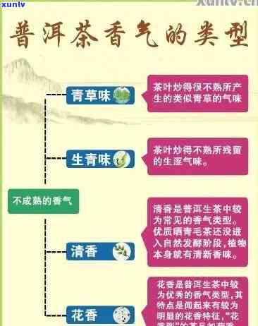 全面解析：如何辨别普洱茶香气的优劣，从原料到工艺一步到位！