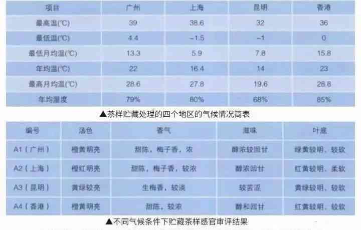 普洱茶香气分类标准及特点：全面解析普洱茶的香气成分