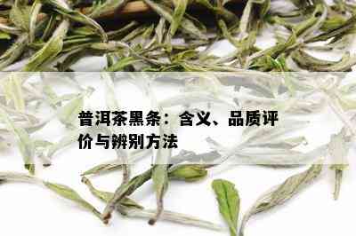 普洱茶黑条的独特品质与功效：了解其特点以满足用户需求