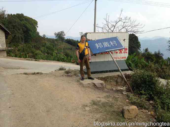 普洱茶邦崴古树茶：品质、历、功效与选购指南的全面解析