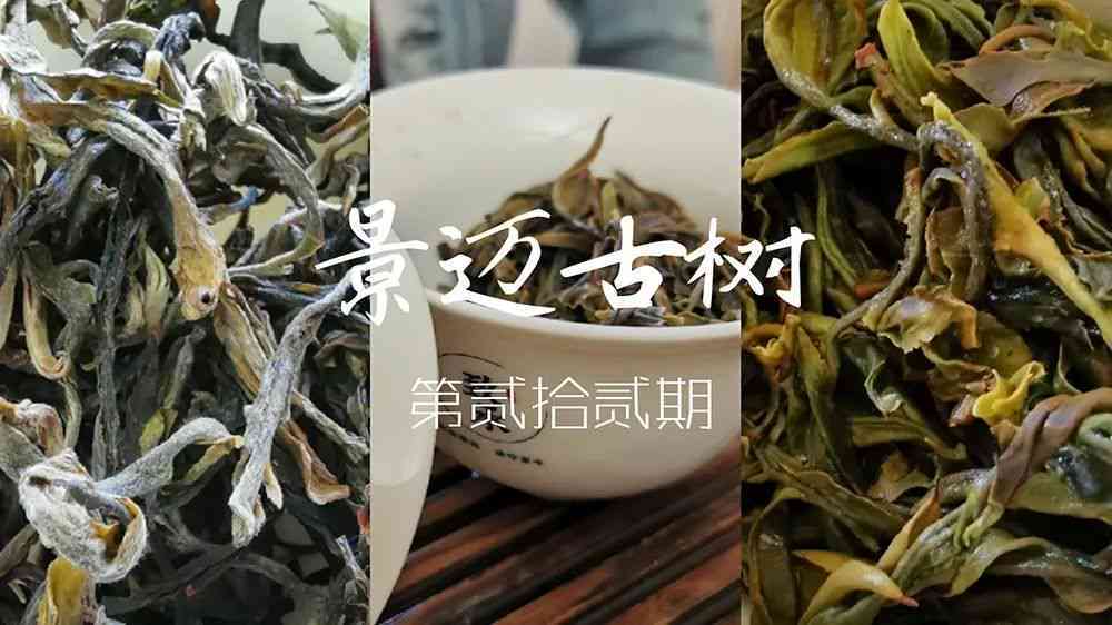 邦崴古树普洱茶的冲泡方法