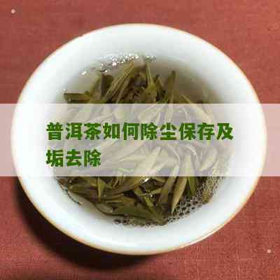 自己怎么给普洱茶除尘气味