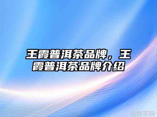 王霞普洱茶品质如何？了解其特点与功效，助您做出选择