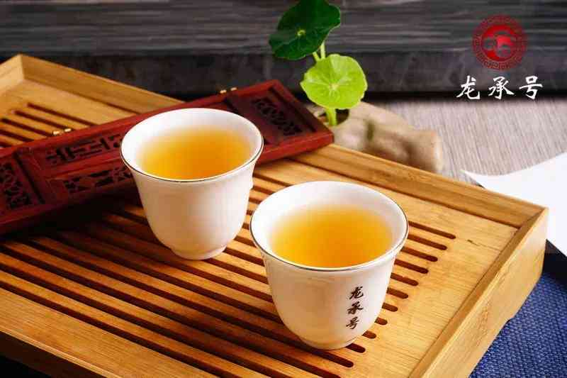 饮普洱茶用什么器型杯