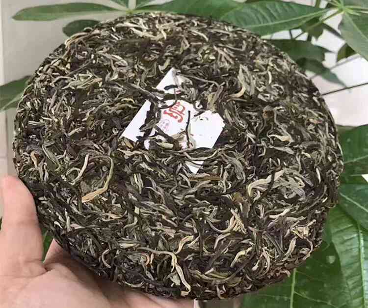 西安仙仙普洱茶现在还在吗