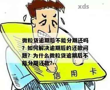 微粒贷提示已逾期，原因何在？