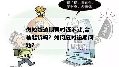 全面解决逾期问题：如何评估和应对微粒贷的逾期情况？