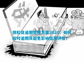 全面解决逾期问题：如何评估和应对微粒贷的逾期情况？