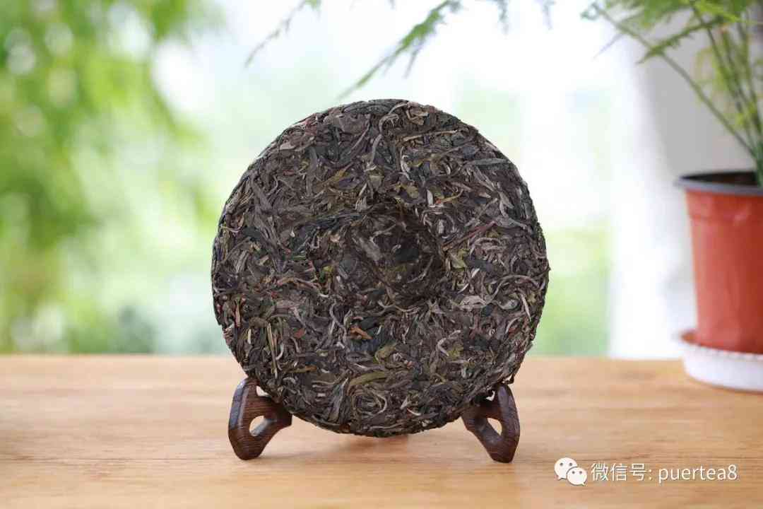 普洱茶都没有保质期吗多久