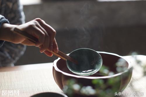 普洱茶遭受虫害后的潜在健风险及是否可以饮用