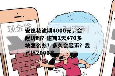 债务逾期4000元，安逸花公司发送信息至我的家乡，引发困扰