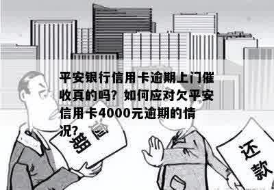 债务逾期4000元，安逸花公司发送信息至我的家乡，引发困扰