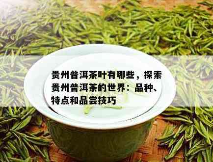 贵州茶：一种独特的茶叶，解析其与普洱茶的关系及价格因素